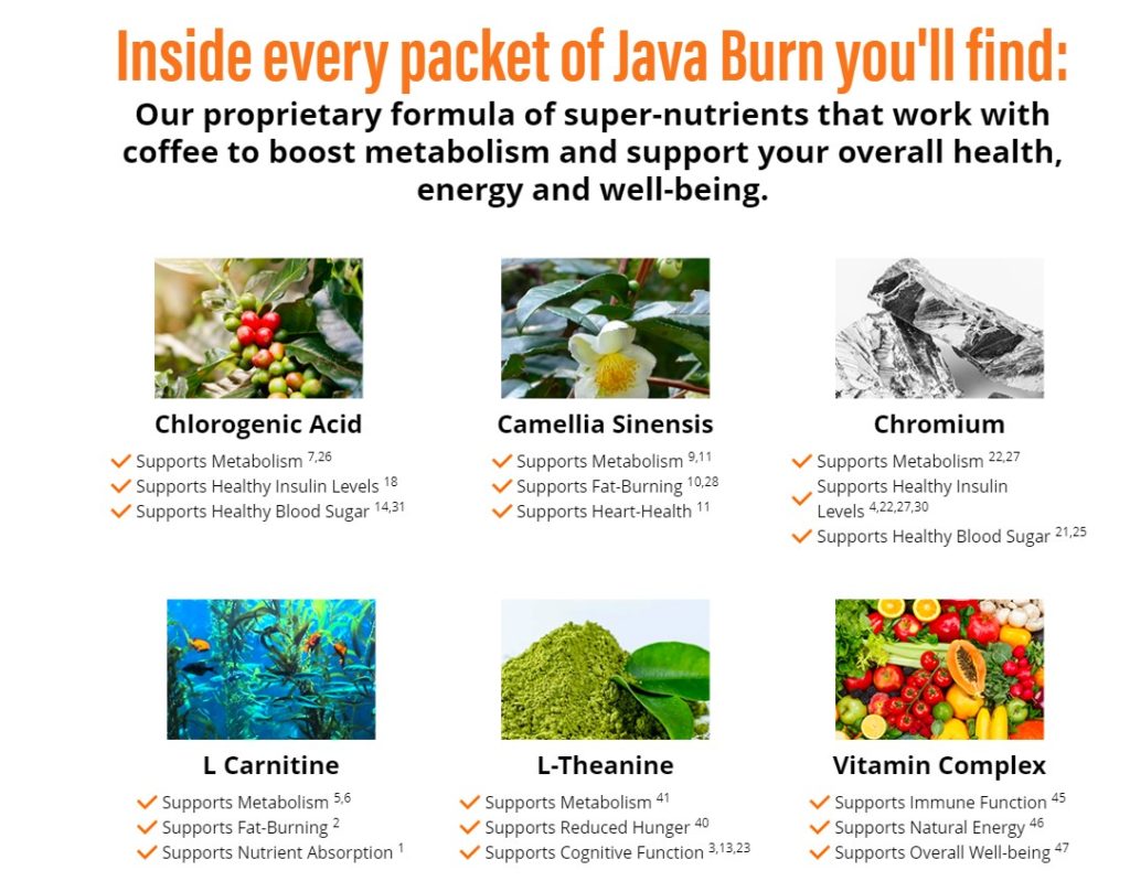 Java Burn Reviews